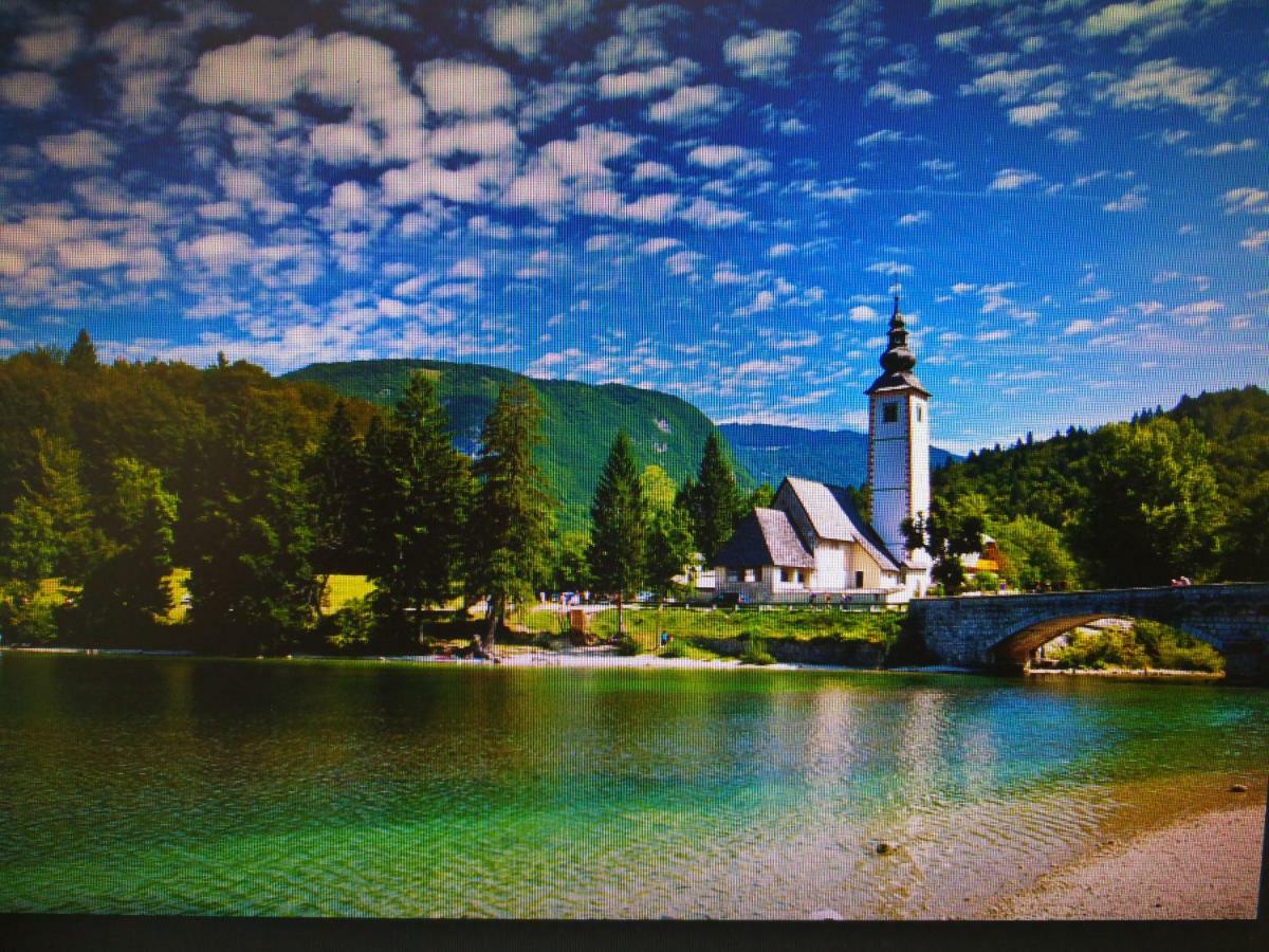 Apartament Planika B&M Bohinj Zewnętrze zdjęcie