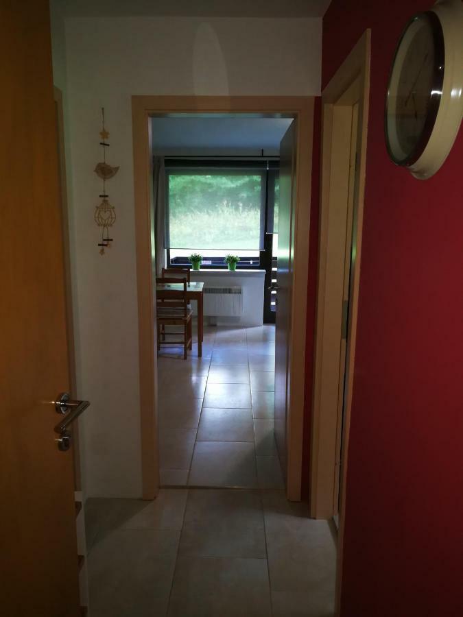 Apartament Planika B&M Bohinj Zewnętrze zdjęcie