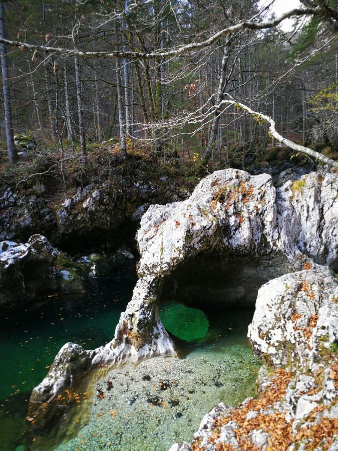 Apartament Planika B&M Bohinj Zewnętrze zdjęcie