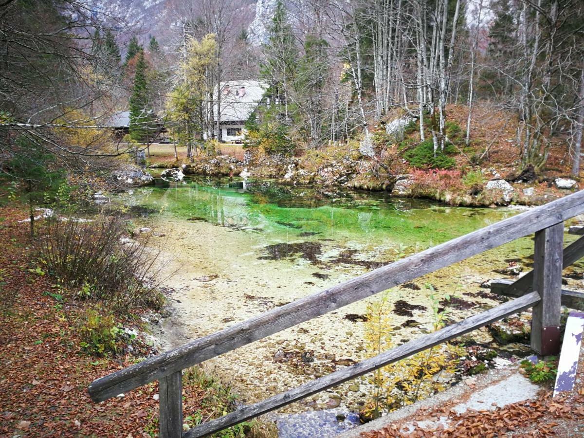 Apartament Planika B&M Bohinj Zewnętrze zdjęcie