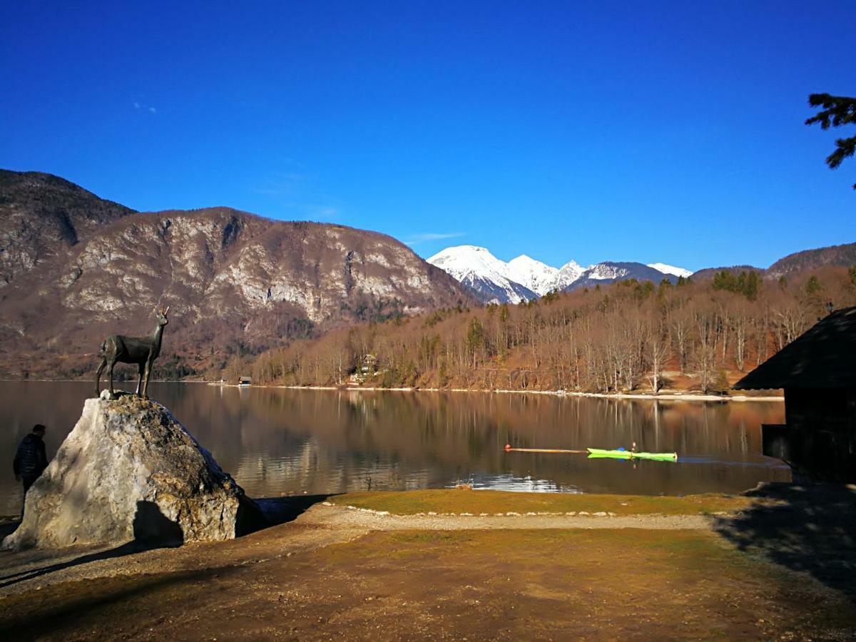 Apartament Planika B&M Bohinj Zewnętrze zdjęcie