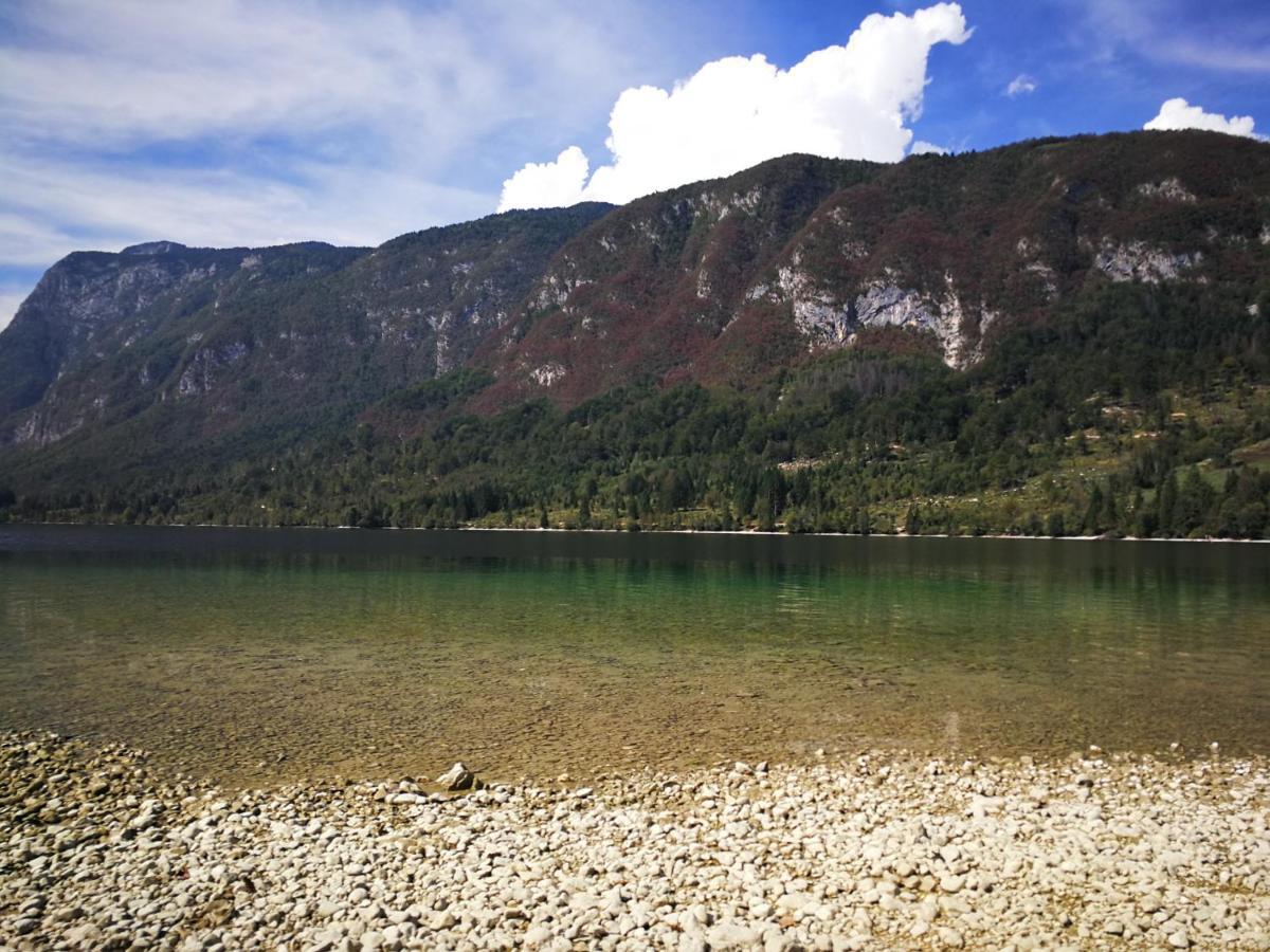 Apartament Planika B&M Bohinj Zewnętrze zdjęcie